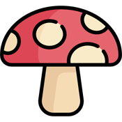 party specialized mushroom capsules